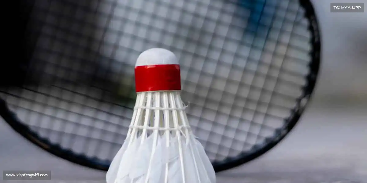 AG庄闲集团🏓小球转动大梦想,每一拍都是新的开始!